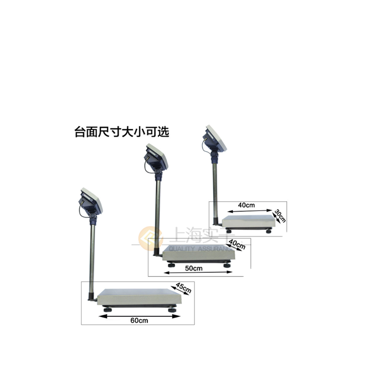 高精度計重臺秤
